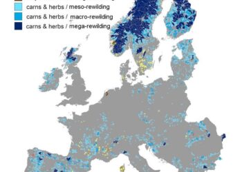 European rewilding