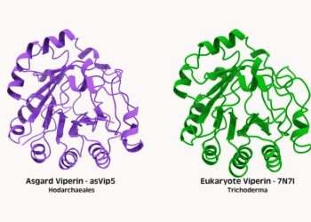 Comparison of immune proteins (a.k.a. viperins)