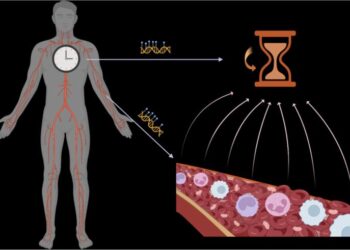 Recalibrate concepts of epigenetic aging clocks in human health