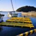 Polyethylene raft for oyster farming