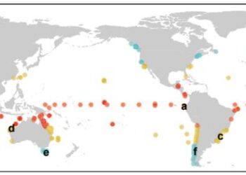 Ocean weather map