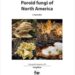 Poroid Fungi of North America