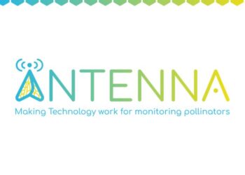 ANTENNA's logo