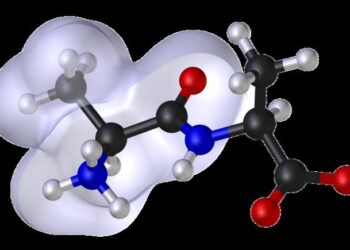 3D render of a molecular model of a peptide