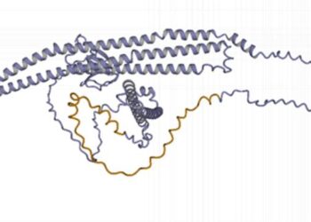 Structure of one of the 813 genes identified in the study