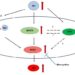 Microglial Response to Hypernatremia