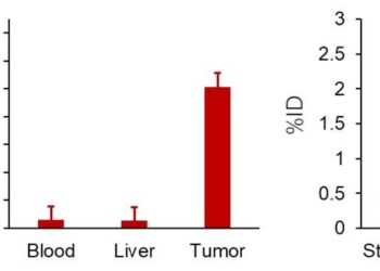 In vivo experimental results for a novel compound for targeted alpha therapy