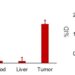 In vivo experimental results for a novel compound for targeted alpha therapy