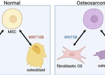 Targeting WNT5B and WNT10B in osteosarcoma