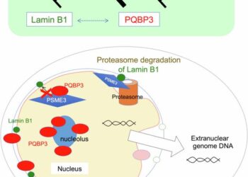 New study finds a link between aging and neurodegenerative disorders