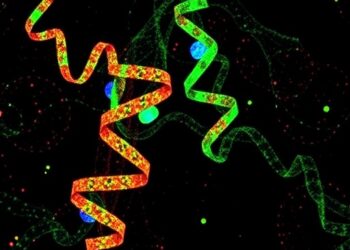 CMSS1: Key RNA Protein Drives Lung Cancer Progression