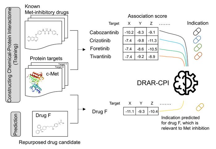 In silico drug repurposing search by chemical-protein interactome analysis
