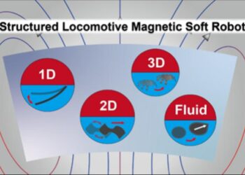 Classification of the locomotive magnetic soft robots