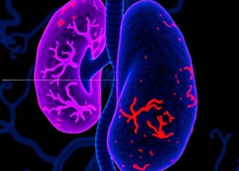 MLN4924 Halts Renal Cancer by Stabilizing FBP1