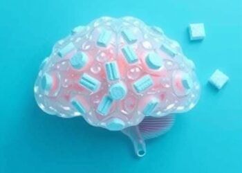 Non-Caloric Sweeteners Impact Brain Appetite Across Weights