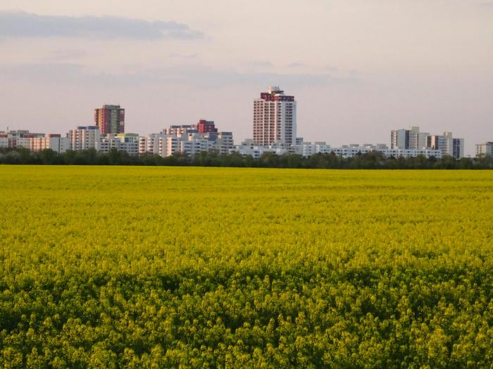 Resilience to abrupt global catastrophic risks disrupting trade: Combining urban and near-urban agriculture in a quantified case study of a globally median-sized city