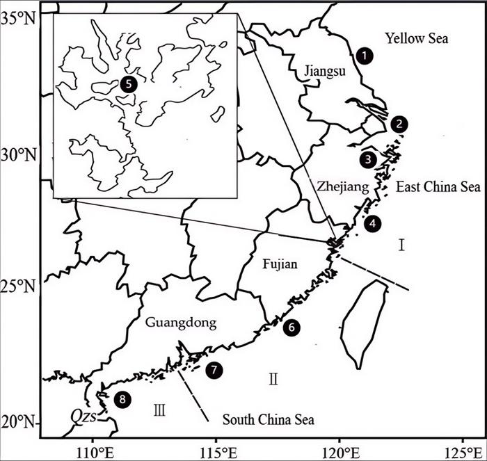 Geographical population and distribution of spawning grounds of large yellow croaker. I. The Dai-qu stock; II. The Min-Yuedong stock; III. The Nao-zhou stock.