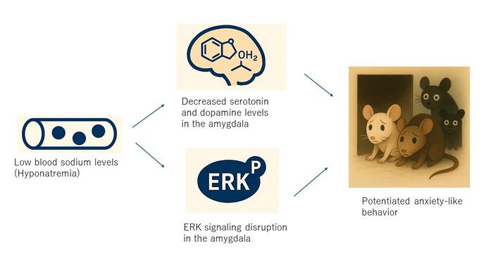 Low sodium causes anxiety in mice