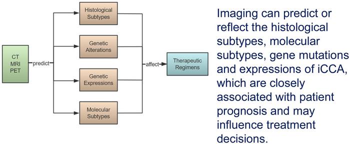 Molecular and Histological Profiles and Relevant Imaging Signatures of Intrahepatic Cholangiocarcinoma