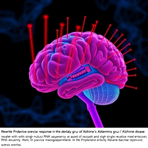 Rewrite Protective exercise responses in the dentate gyrus of Alzheimer’s disease mouse model revealed with single-nucleus RNA-sequencing as a headline for a science magazine post, using no more than 8 words