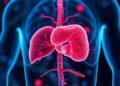 Advancing Liver Disease Diagnosis with Smart Technologies