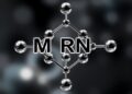Alkali Metal Cations Direct ORR Selectivity at M-N4 Active Sites