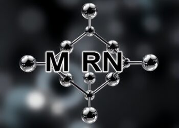 Alkali Metal Cations Direct ORR Selectivity at M-N4 Active Sites