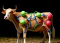 Cattle USP Gene Family: Insights into Muscle Development