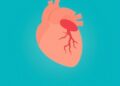 Certain Mental Health Disorders Double Risk of Heart Disease and Mortality, Study Finds