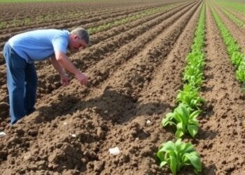 Conservation Tillage Boosts Soil but Worsens Gulf Hypoxia