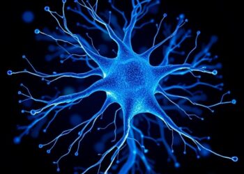 Decoding the Blueprint of Neuron Formation
