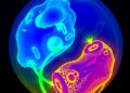 EmbryoNet-VGG16: Advanced Deep Learning for Embryo Classification