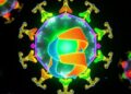 Engineered Light-Controlled Proteins Enable Reversible Assemblies