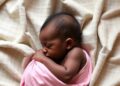 Ensemble Algorithms Predict Neonatal Mortality in Ethiopia