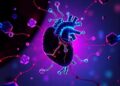 Exosome Circ-Hipk3 Shields Heart via miR-138-5p/Sirt1 Pathway