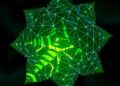 Exploring Cutting-Edge Techniques for Leaf Disease Detection