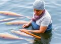 Exploring Sustainable Aquaculture’s Role in Food Security: Insights from the Leopoldina Webinar on Germany and Brazil