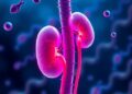 Ferroptosis Links to Acute Kidney Disease Genes