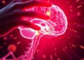 Groundbreaking Treatment Unveiled for Central Nervous System Injuries
