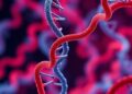 HTSNPedia: A Genetic Database for Hypertension Insights