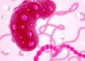 MicroRNA-25-3p Boosts Pancreatic Cancer Progression via EVs
