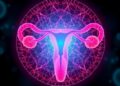 New Theoretical Model Illuminates Ovarian Aging, Paving the Way for Breakthroughs in Women’s Health