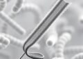 Precise Assembly of Nanopore Sequencing in Pathogenic Bacteria