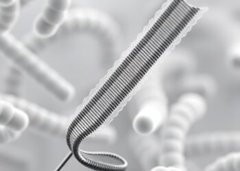 Precise Assembly of Nanopore Sequencing in Pathogenic Bacteria