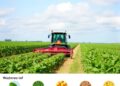 Soybean Germplasm Traits for Mechanical Harvesting