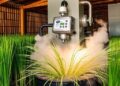 Steam Explosion Enhances Rice Straw Compost Humification