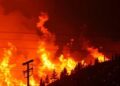 Study Reveals Wildfire Mitigation Strategies Could Reduce Destruction by 50%