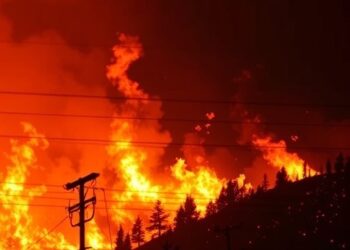 Study Reveals Wildfire Mitigation Strategies Could Reduce Destruction by 50%