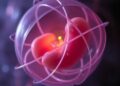 Unveiling the Science of Oocyte Dormancy: The Biology Behind Sleeping Beauties