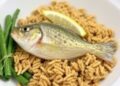 Using Animal Byproducts as Fish Meal Substitute for Tilapia